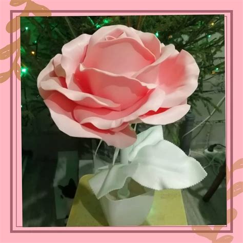 У нас уже сложилась традиция, завершать год розами 🌹Вот и в последнии ...