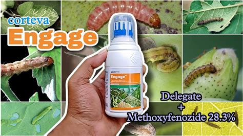 Corteva ENGAGE Insectide For Lepidopteran Pests Dr A Venugopal