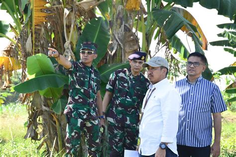 Danlantamal Vi Tinjau Lahan Ketahanan Pangan Lantamal Vi Makassar