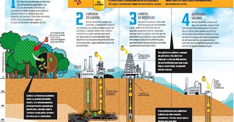 Projetos De Sequestro De Carbono Klima Naturali