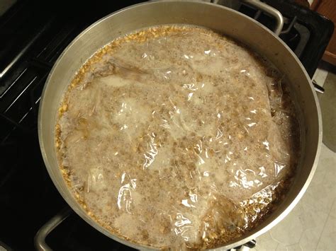 Brew #49 – Sour Mash After 72 Hours – TwiddleNutz Homebrew