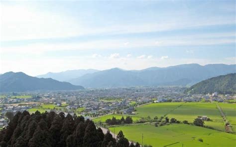 【福井デート】勝山城博物館の展望台から絶景をサイクリングで巡る歴史と自然の旅