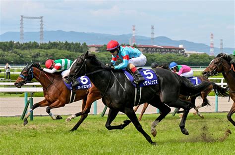 【凱旋門賞】スルーセブンシーズ キャロットf・秋田代表「挑戦する価値、資格がある馬」 競馬ニュース Netkeiba