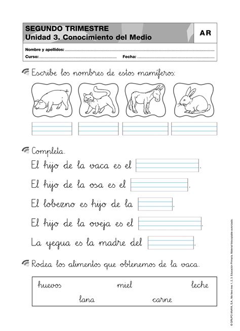 Actividades Primero De Primaria Matemáticas Lengua Conocimiento Del