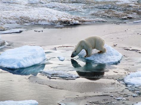 L T Dans L Arctique A T Le Plus Chaud Jamais Enregistr Rjb