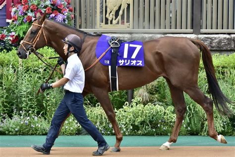 サリオス厩舎にファン不満 人気競馬youtuberの「神予想」炸裂！ アーモンドアイ厩舎「期待」の良血が踏んだり蹴ったり【週末gj人気