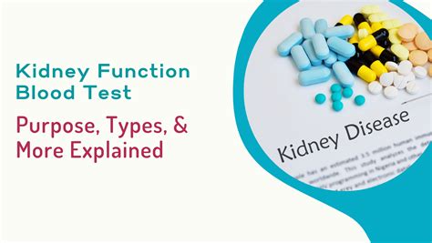 Kidney Function Blood Test Purpose Types And More Explained Miracle