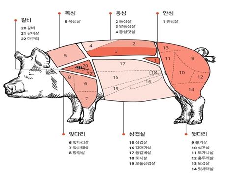 돼지고기 부위별 명칭 특수부위 포함 네이버 블로그