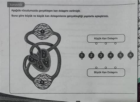 Yardim Edebilir Misiniz Eodev