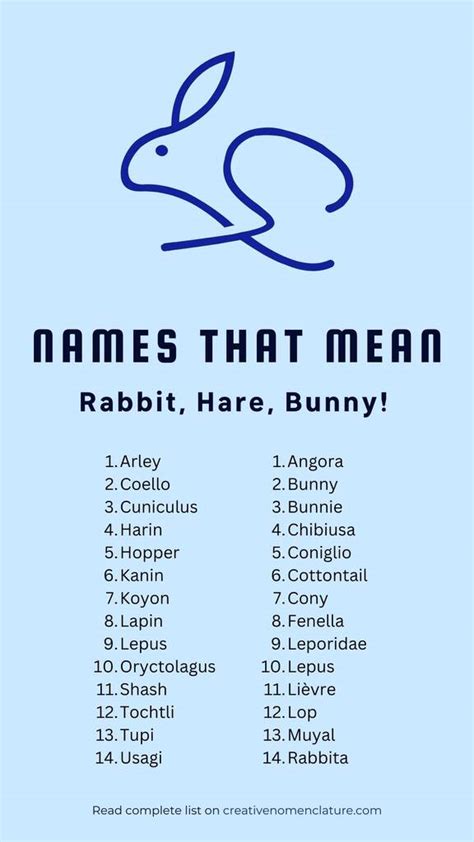 61 Creative Names That Mean Rabbit, Hare or Bunny