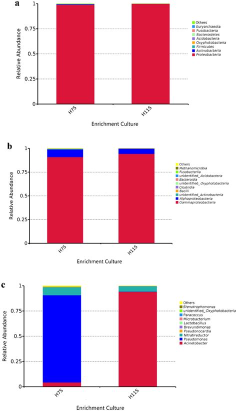 Bacterial community structure at different levels (a phylum level. b ... 