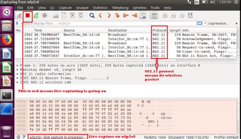 Use Wireshark To Capture Localhost Traffic Jnrdecor