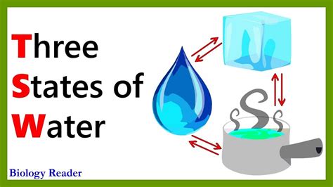 Three States Of Water Solid Liquid And Gas Youtube