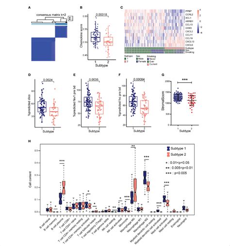 Identify Different Subtypes Based On Eleven Cr Degs A Hierarchical Download Scientific