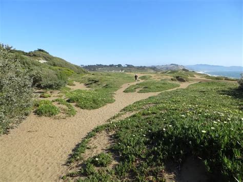 Fort Funston Beach in San Francisco, CA - California Beaches