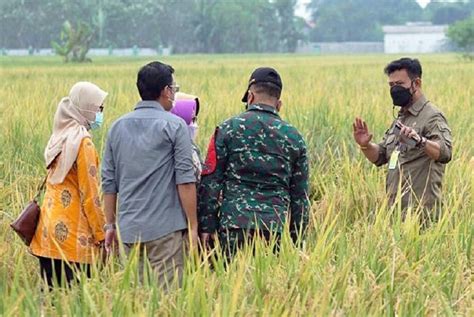 9 514 Penyuluh Pertanian Jadi ASN Mentan Peran Anda Vital Republika