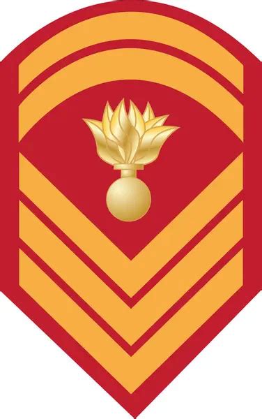 Almohadilla De Hombro Marca Oficial Militar Para El Rango De Insignia