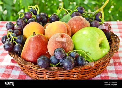 Cesto Di Frutta Con Pesche Pere Di Mele Immagini E Fotografie Stock Ad