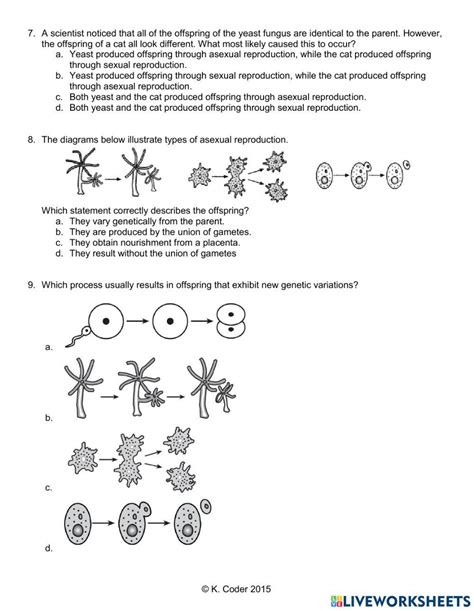 Sexual Vs Asexual Reproduction 4973987 Allen28 Live