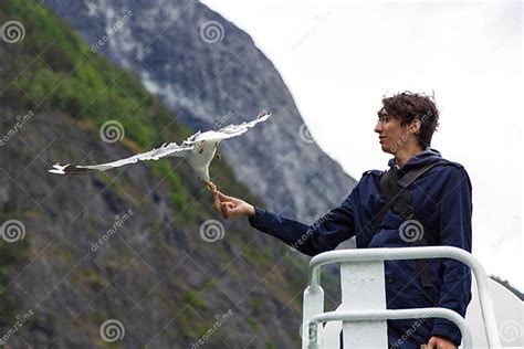 Man Feeding Seagulls Flying Over The Ferry Boat Stock Image Image Of Outdoor Alone 153100839