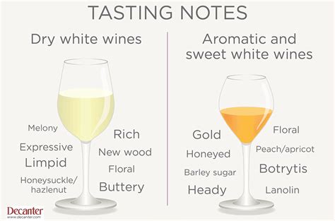 Wine Tasting Notes Template - Detrester.com