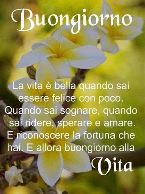 Buongiorno Vita Buongiorno Buongiorno Bellissimo Buongiorno Immagini