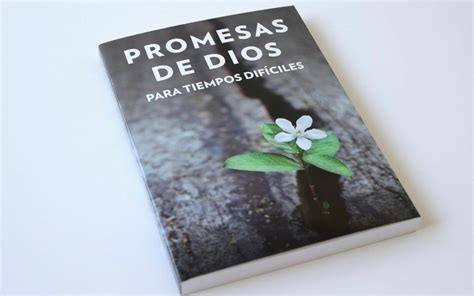 Promesas de Dios Para Tiempos Difíciles Bible Journaling Nicaragua