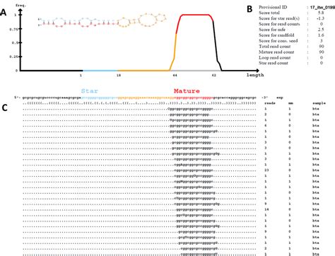 Graphic illustration of a representative predicted novel miRNA by ... 