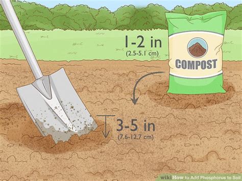 How To Add Phosphorus To Soil Organic Ways