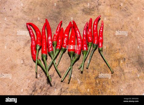 Red Hot Bird Chili Pepper Nature Background Stock Photo Alamy