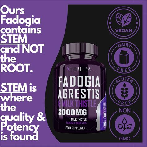 Fadogia Agrestis 2000mg Extract Supplements - 90 Vegan Tablets for ...