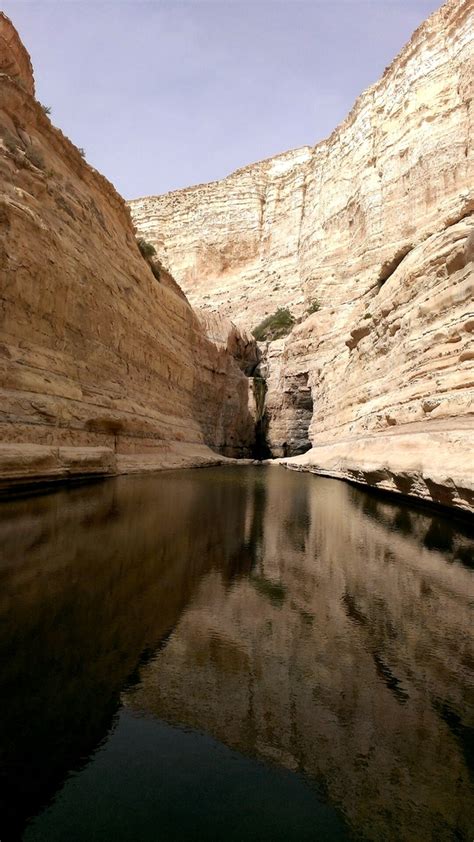 Negev Desert Israel - Photorator