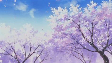 Cherry Blossoms Anime Scenery Wallpapers - Top Free Cherry Blossoms ...