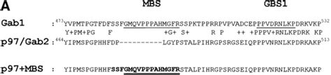 Insertion Of The C Metbinding Site Confers C Met Association To