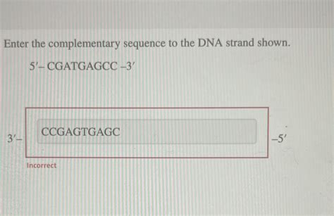 Solved Enter The Complementary Sequence To The DNA Strand Chegg