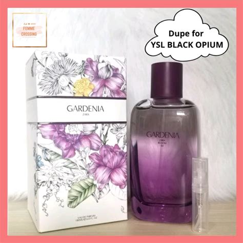 Introduce 62 Imagen Zara Crispy Gardenia Fr Thptnganamst Edu Vn