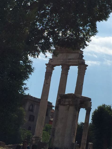 Tempel Van Castor En Pollux In Stadscentrum Van Rome Expedia