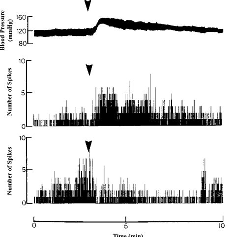 Figure 1 from Stimulation of the paraventricular nucleus modulates ...