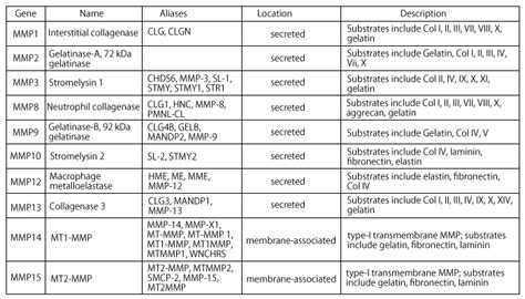 Green Lipped Mussel Extract Immuno Research