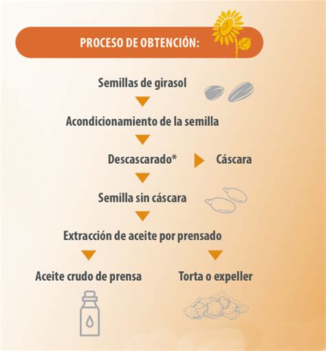 Top Imagen Composicion Quimica Del Aceite De Girasol Abzlocal Mx