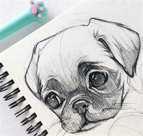 40 Free And Easy Animal Sketch Drawing Information And Ideas рис Dieren