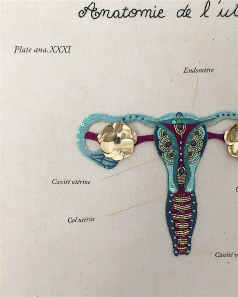 Ipikan On Instagram Planche Anatomie De Lut Rus Sur Un Format Carr