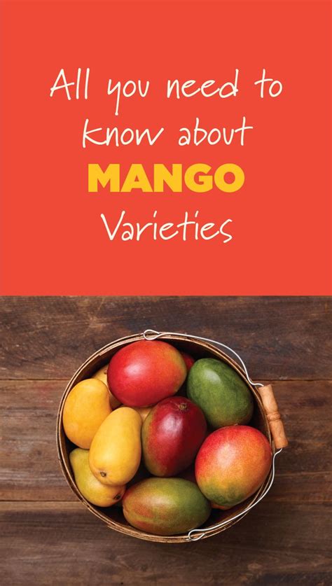 Mango Varieties | Mango varieties, Mango, Different types of mangoes