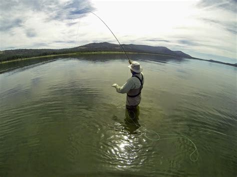 Jon Baiocchi Fly Fishing News: Lake Davis Fishing Report 9/2/14