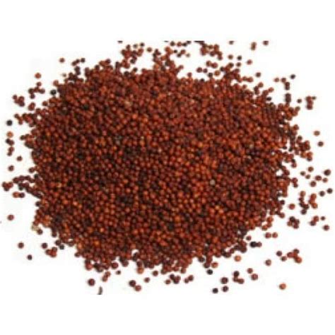 Red Millet Seed At Best Price In Anantapur ORILLET FOODS INTERNATIONAL