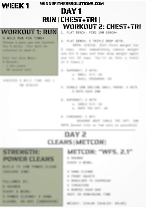 Winne Fitness Solutions Hybrid Athlete Program Volume 2 — WINNE FITNESS