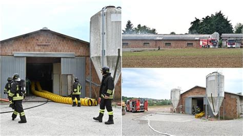 Incendio In Un Capannone Agricolo Fiamme Domate Dai Pompieri