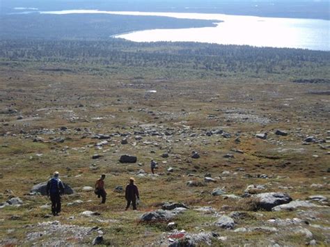 Norway Outdoors Guidede Turer Drevsjø Norge Anmeldelser