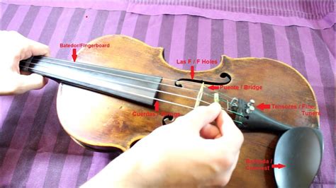 Partes Del Viol N Y Arco Parts Of The Violin And Bow Youtube