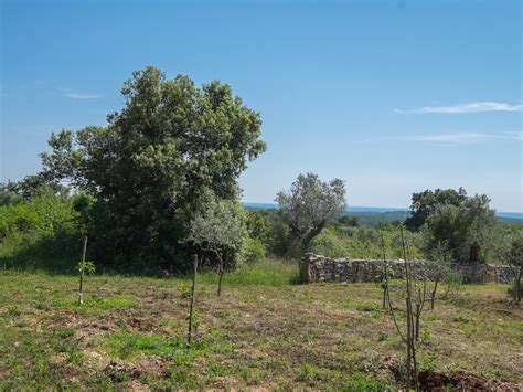 Atraktivno Gra Evinsko Zemlji Te M S Pogledom Na More Rovinj